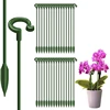 10pcs Gardening tools Plant potted flower fixed anti fall frame Shape support rod Reusable plant scaffold Bonsai fixing tool 6