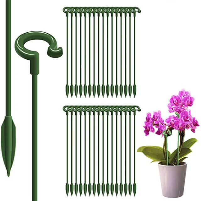 10pcs Gardening tools Plant potted flower fixed anti fall frame Shape support rod Reusable plant scaffold Bonsai fixing tool 6