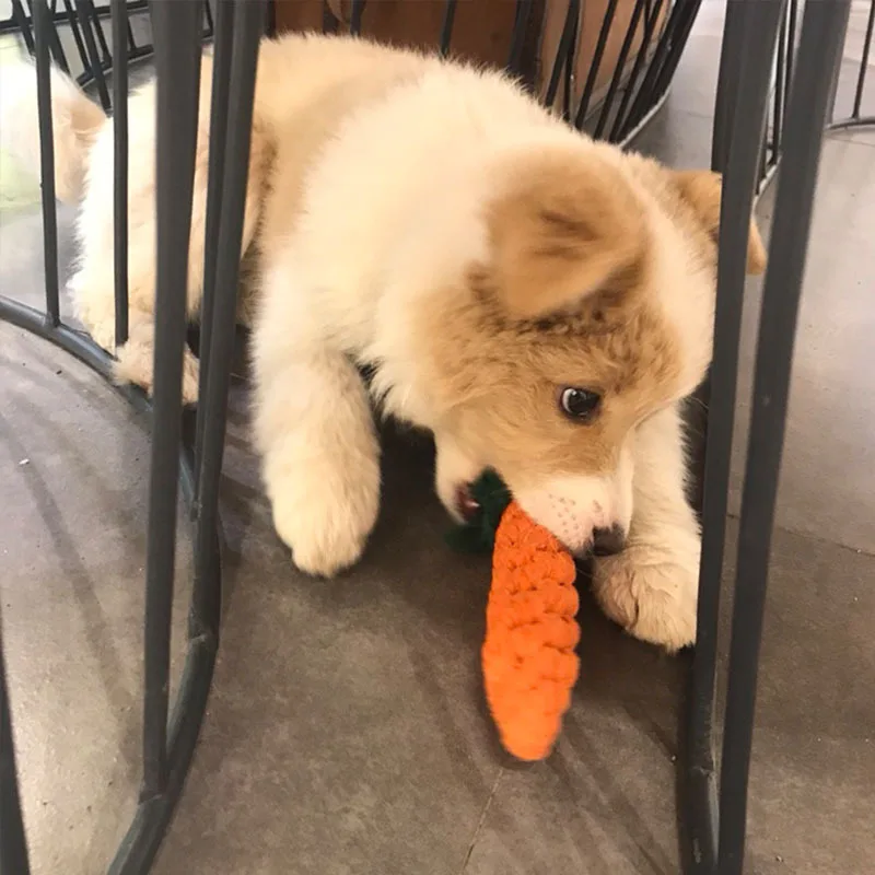 Cordes à nœuds en forme de carotte pour chiens - 2025 - Vêtement et accessoires pour chiens - Doglovedesign