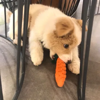 Cordes à nœuds en forme de carotte pour chiens - 2025 - Doglovedesign : Vêtement et accessoires pour chiens