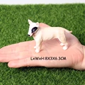Dog 21