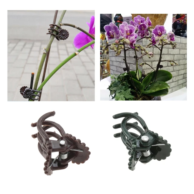 100Db Szőlőjavító Klipek Műanyag Barna Zöld Növény Hegymászás Virág Szár 1,9*1,6 Cm -Es Kötött Ágra Rögzített Tartály Kerti Ellátás - Image 5