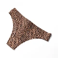 Leopard 3