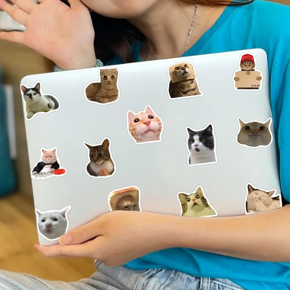 Cat Stickers Funny Cute Cat MEME Animals Stickers Kawaii Cats Decals Scrapbooking Notebook Luggage Laptop Skateboard Sticker Toy