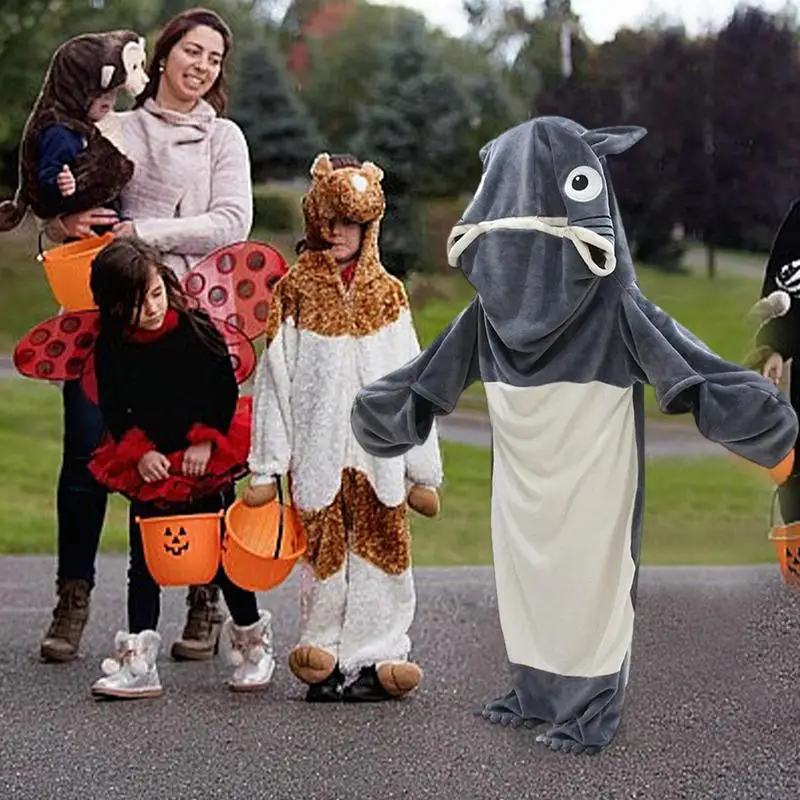 �ڽ����� ��Ƽ�� ���� ������ �ƴ��� ���, �Ϳ��� ������ �ö��� �ĵ�, ������Ʈ, ���� �ܿ� ���