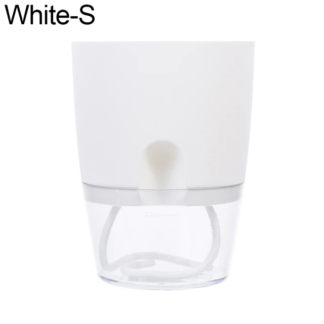 White S
