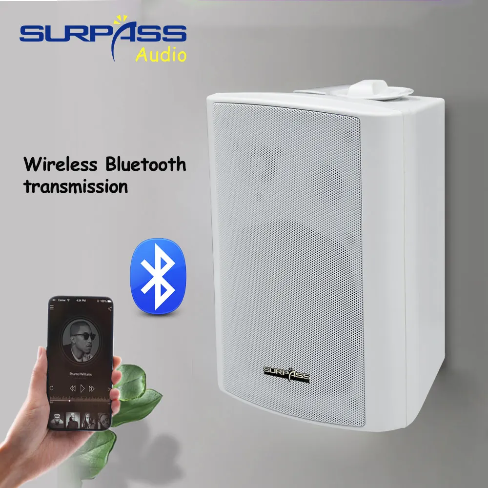 Bluetooth speaker with wall mount Clearance