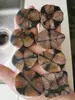 1PC Natural gemstone raw staurolite polished fairy cross stone mineral specimen reiki healing quartz crystal stone as a gift ran 4