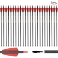 24PCS Red