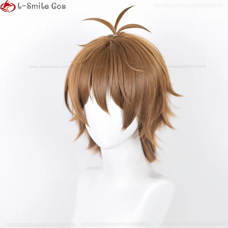 Unisex Halloween Cosplay Costume Party Hair Anime Wigs Short Full Hair Wig  USA F