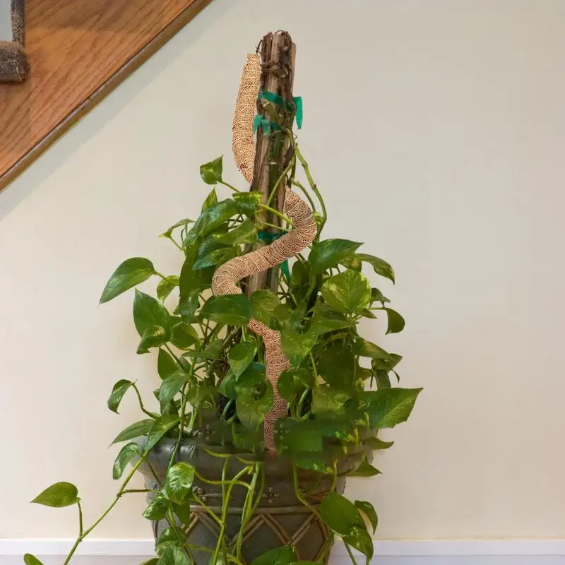 Slide image 26f89f4983b245b39f30632d48d4342d