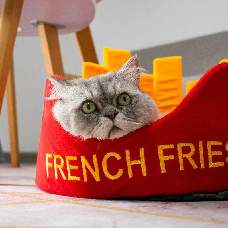 French fries