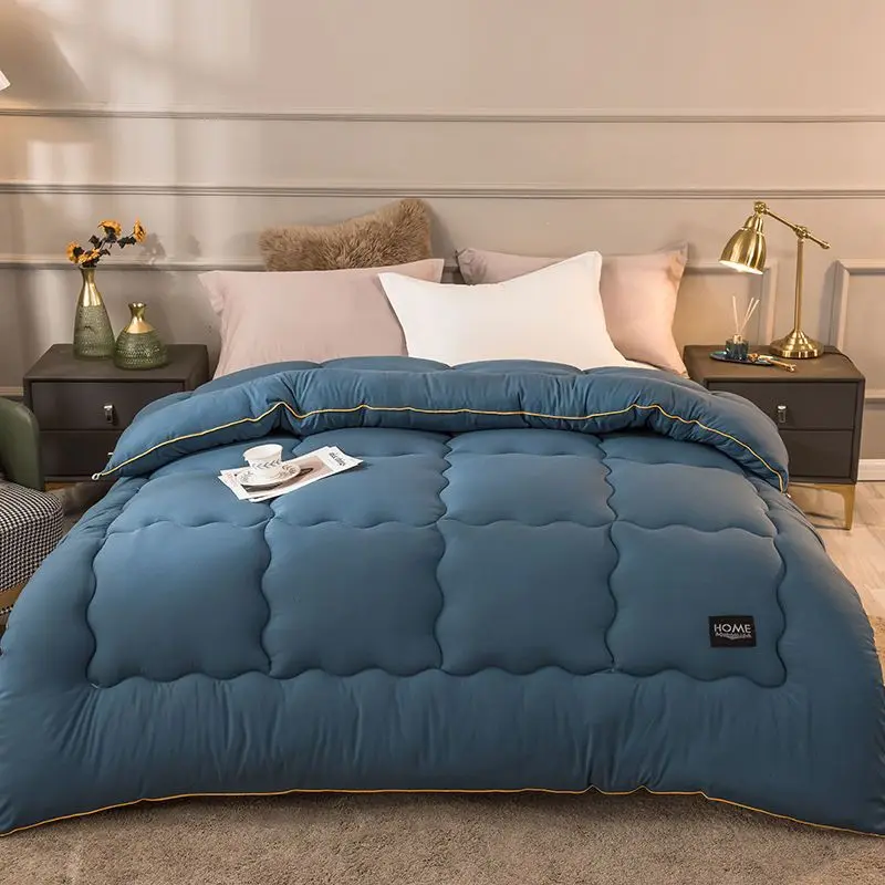 

2023 New Fashion Light Luxury Washable Cotton Quilt Core Solid Warm Winter Single Pair Spring and Autumn Bedding Down Comforter