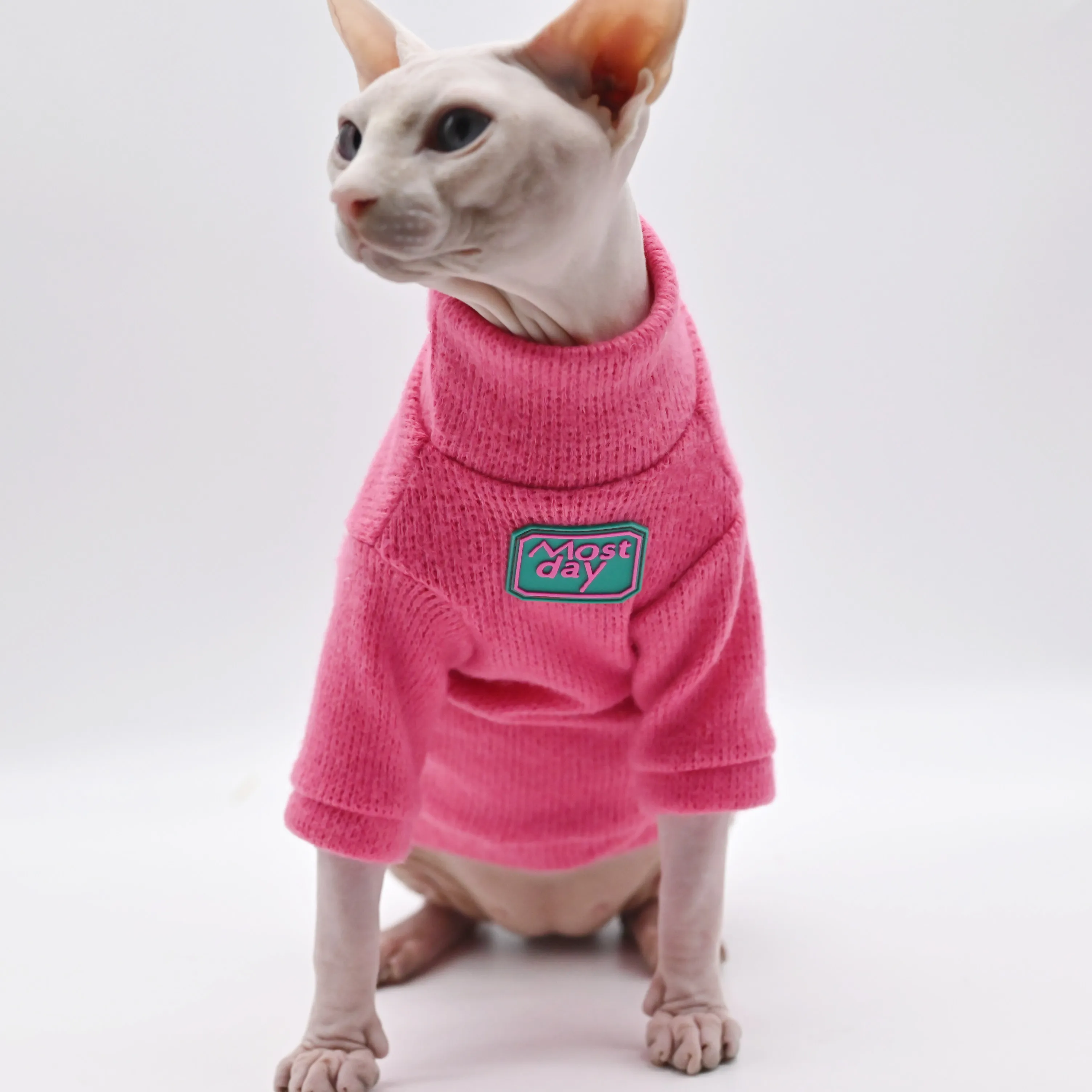 DUOMASUMI-suéter sin pelo para gato, ropa de gato, Sphynx, gatito de moda,  suave y cómodo, ropa de invierno - AliExpress