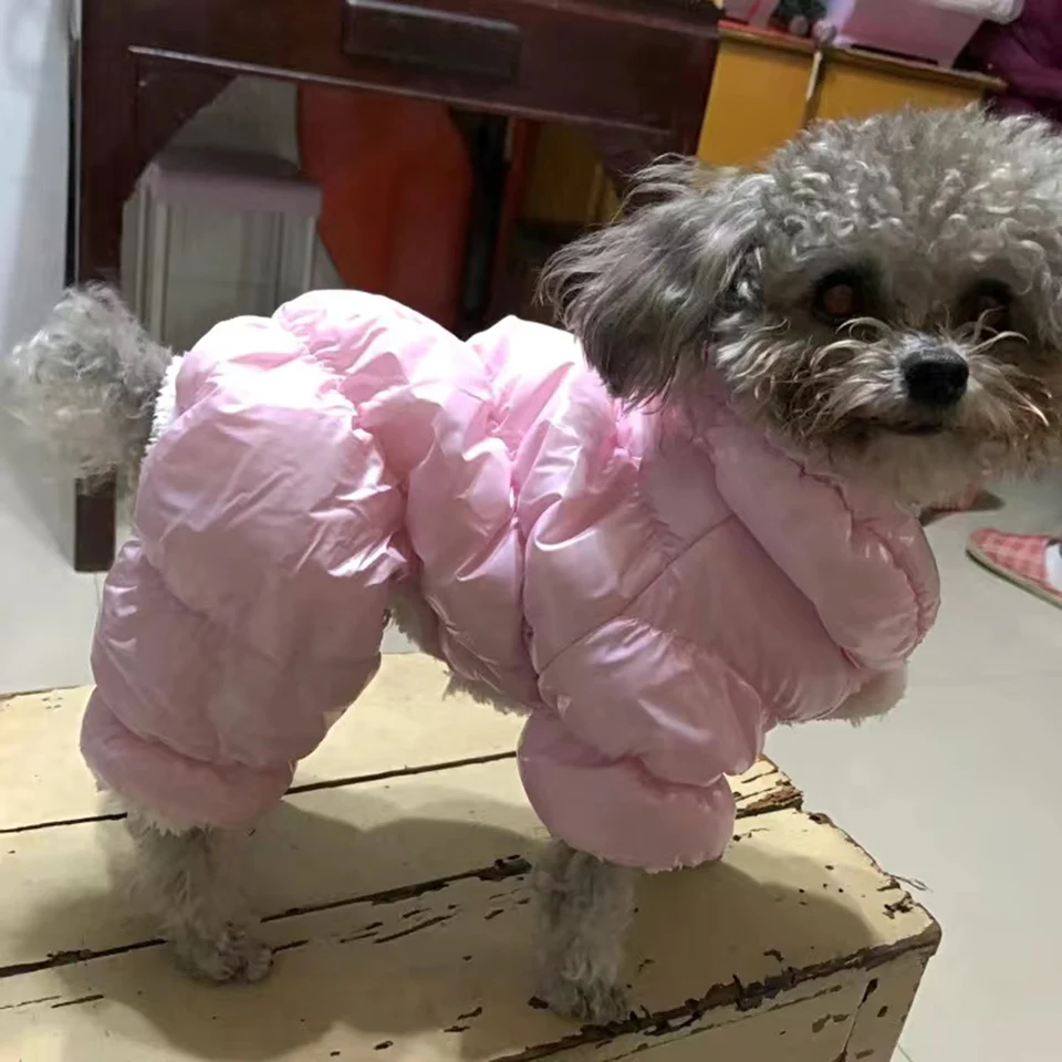 Estacion　スリッポン　犬モチーフ Estacion 犬モチーフ スリッポン