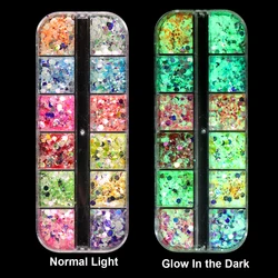 Luminous Holographic Glitter Nail Art Powder - Glow - in - the - Dark Chrome Pigment Flakes (12 Grids YS - G)