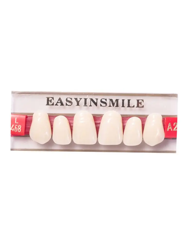 84/96pcs Dental Teeth Model Denture False Teeth DIY Material Anterior Posterior Teeth Education Model A1/ A2/ A3 3