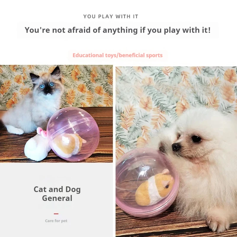 2024 New Children's Electric Rolling Rabbit Hamster Rotating Fun and Cute Slippery Cat Plush Toy Pet Interactive Toy Pet Gift 3