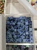 14MM Merkaba Star Natural Crystal Quartz Stone Wiccan Energy Healing Gem DIY Jewelry Home Decoration Gift 1