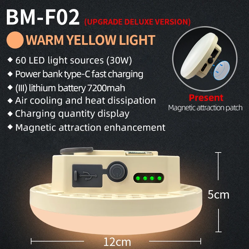30W Warm Light