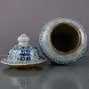 Exquisite Chinese Blue and white porcelain Flower patterned general jar vase 6