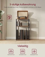 Support pour tourne-disques VASAGLE à 3 niveaux pour jusqu'à 100 albums, table d'appoint pour salon et chambre 2