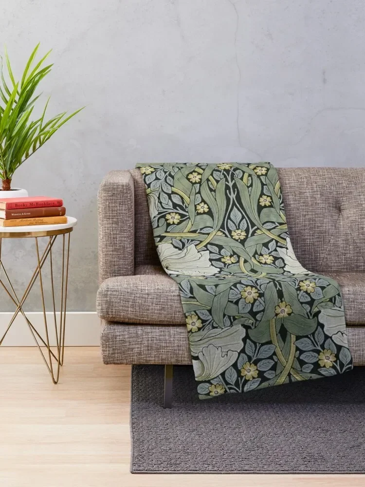 ������ �𸮽�-���۳� ������ ������ ���, ���� ħ�� �м� ����, �ڽ����� �ִϸ��̼� ���