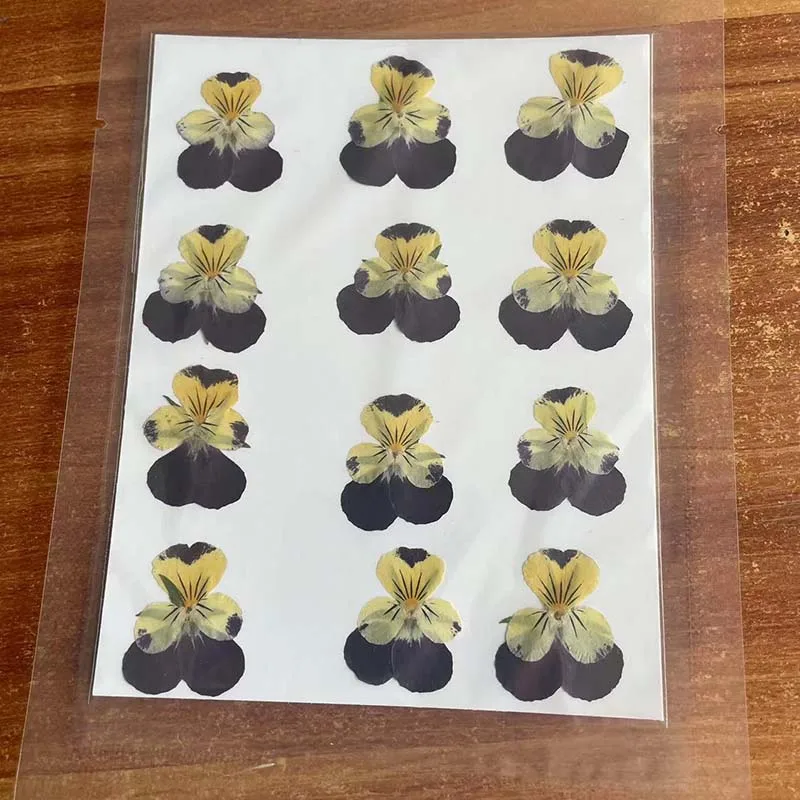 Slide image 5842200326b349a98584a674df9d82e4