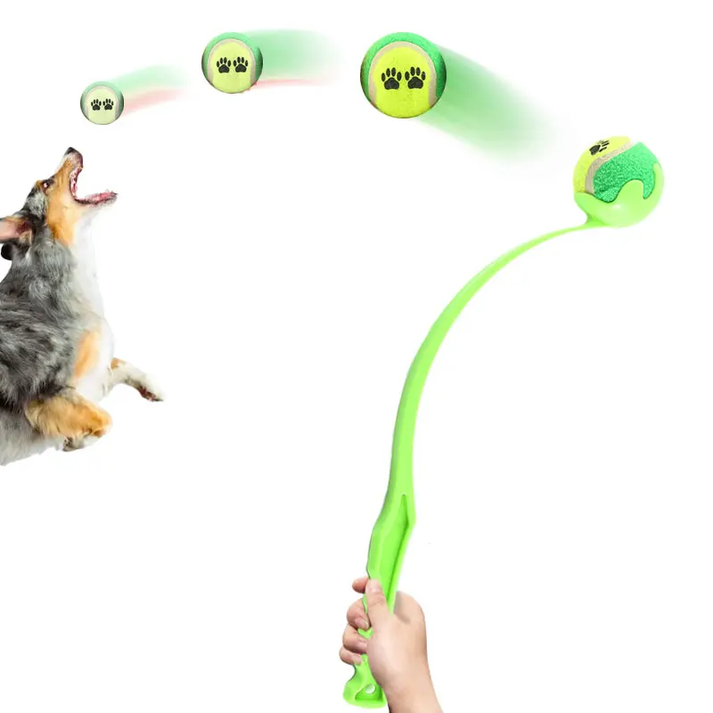 463505-1dd10a.jpg
