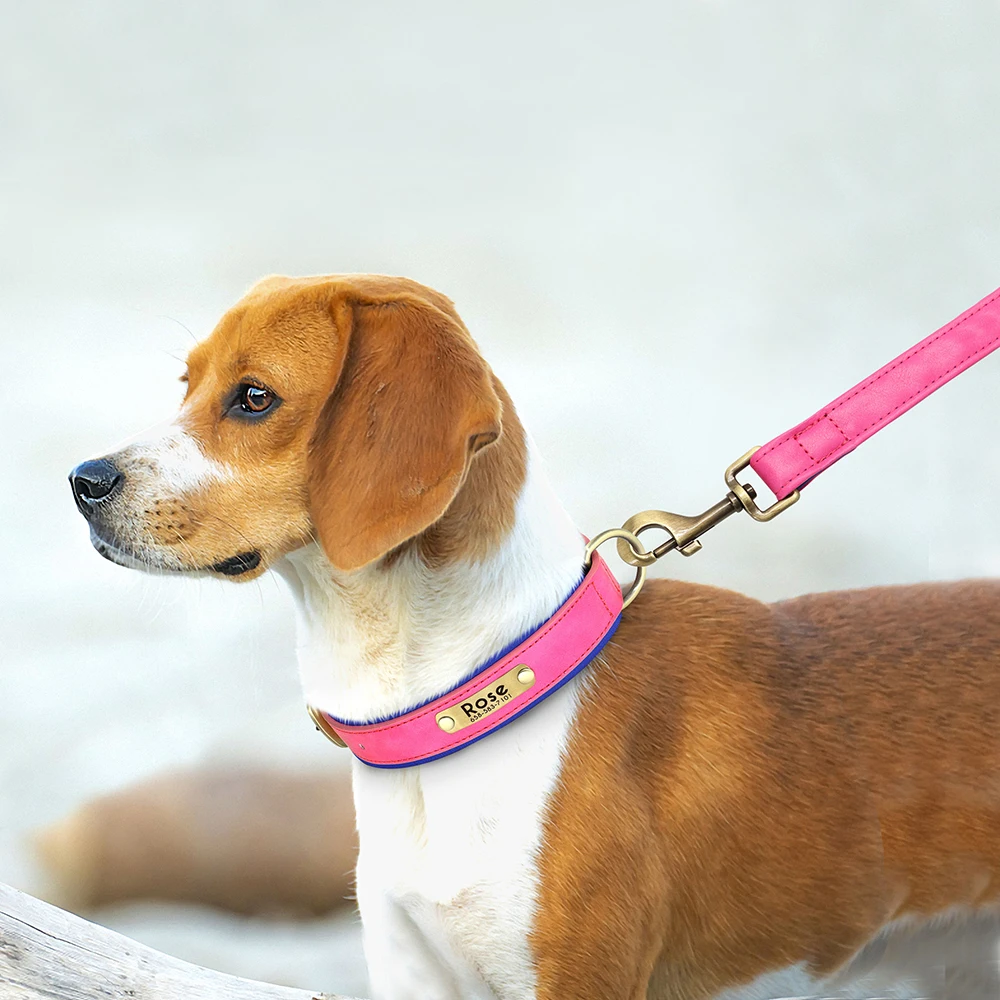 Custom Leather Dog Collar Set 5