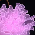 Pure edge pink