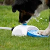 Pet Outdoor Step-on Press Type Summer Outdoor Feeding Waterer Step-on Waterer Dog Step-on Water Toy Outdoor Pet Interactive Toy 2