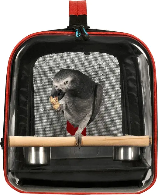 Colorday sac de transport d oiseaux l ger Cage de voyage pour oiseaux avec support sac