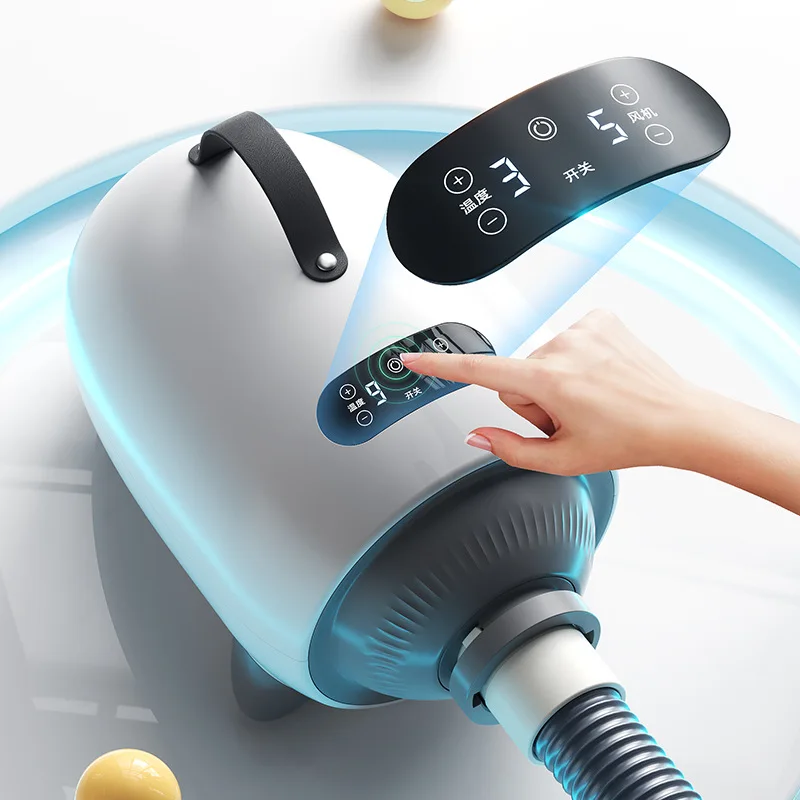 애완동물 털 건조기, 빠른 건조, 2100W 장비 용품, 미용, 개 그루밍, 개 송풍기 액세서리, 개 고양이 220V