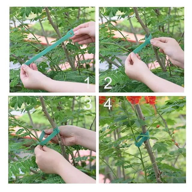 50 db Állítható Kerti Nylon Nyakkendők A Növény És Szőlő T-Típusú Kábel Nyakkendőhöz Szőlőcsomagoló Támogatáshoz - Image 6