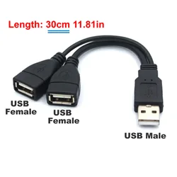 Dual USB 2.0 Port Extension Y Cable for Data Transmission and Charging (30cm)