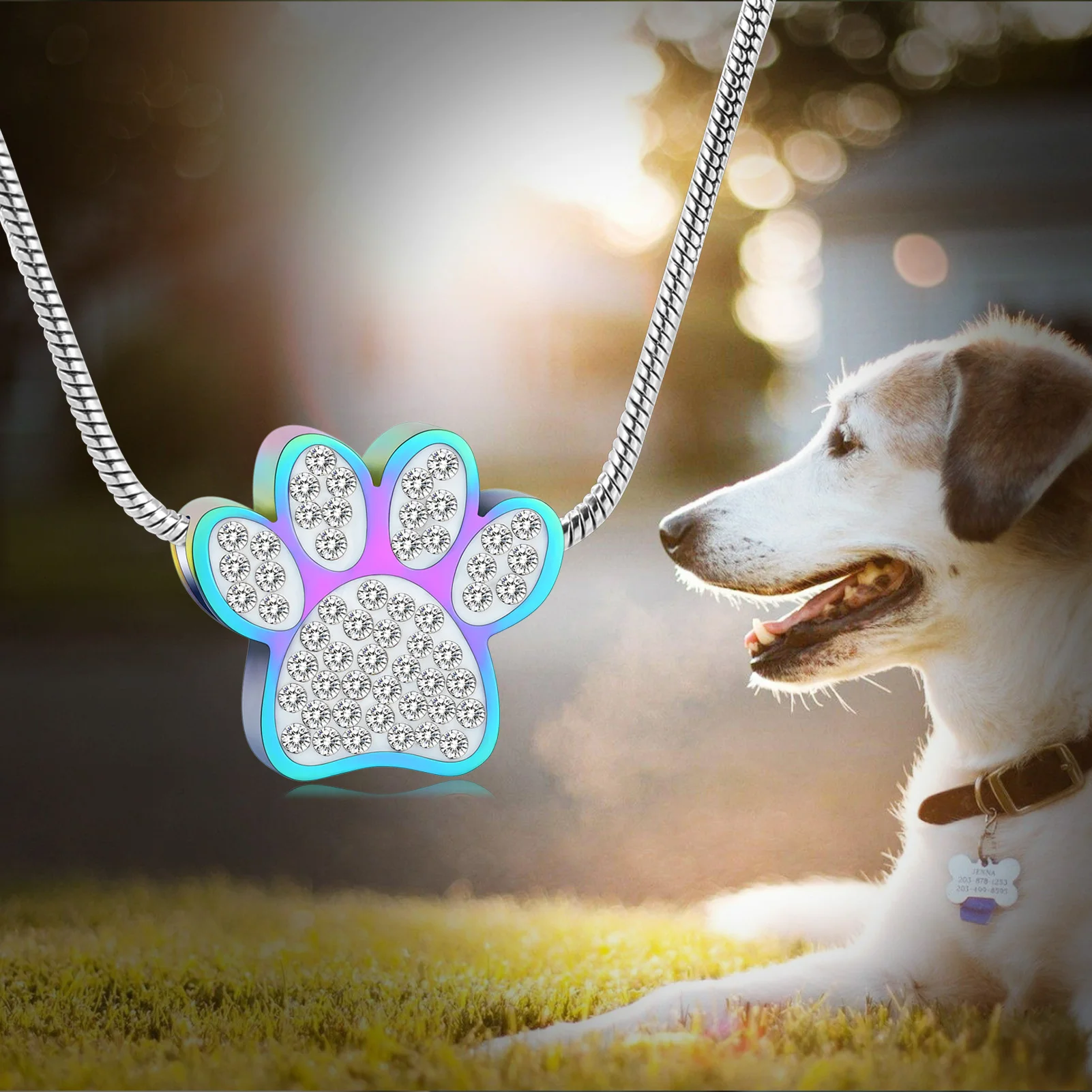 

20pcs/lot Crystal Paw Memorial Urn Necklace Ash Cremation Pendant For Dog Ashes Keepsake Stainless Cremation Jewelry Customized