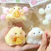 Cute Hamster Squeeze Toy Silicone Pinch Decompression Toy For Kids Gift Stress Reliever Toys 1