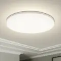 Neutral Light
