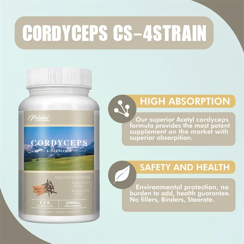 Cordyceps Energy Respiratory Immune Kidney Health Support