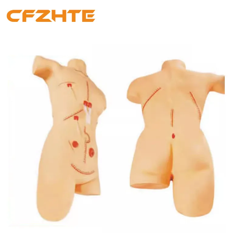 

Surgical Suture and Bandaging Training Model Debridement Training Incision and Suture Demo Thread Removal and Dressing Change