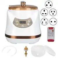1000W 2L Sauna Steamer Pot Portable Multifunctional Spa Fumigation Machine for Body Detox Weight Loss Spa Steam Generator 1