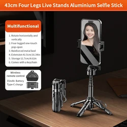 Portable 3 - in - 1 Mini Tripod with Remote Control (Black)