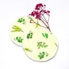 Breast Pads Nursing Pads Reusable Breastfeeding Pad Makeup Remover Pad Waterproof Super Absorbency Stay Dry Ultra Soft Washable 5
