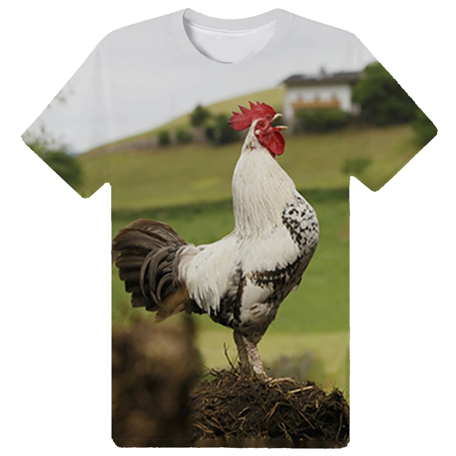 Summer Short Sleeve 3D Print T Shirts for Men and Women