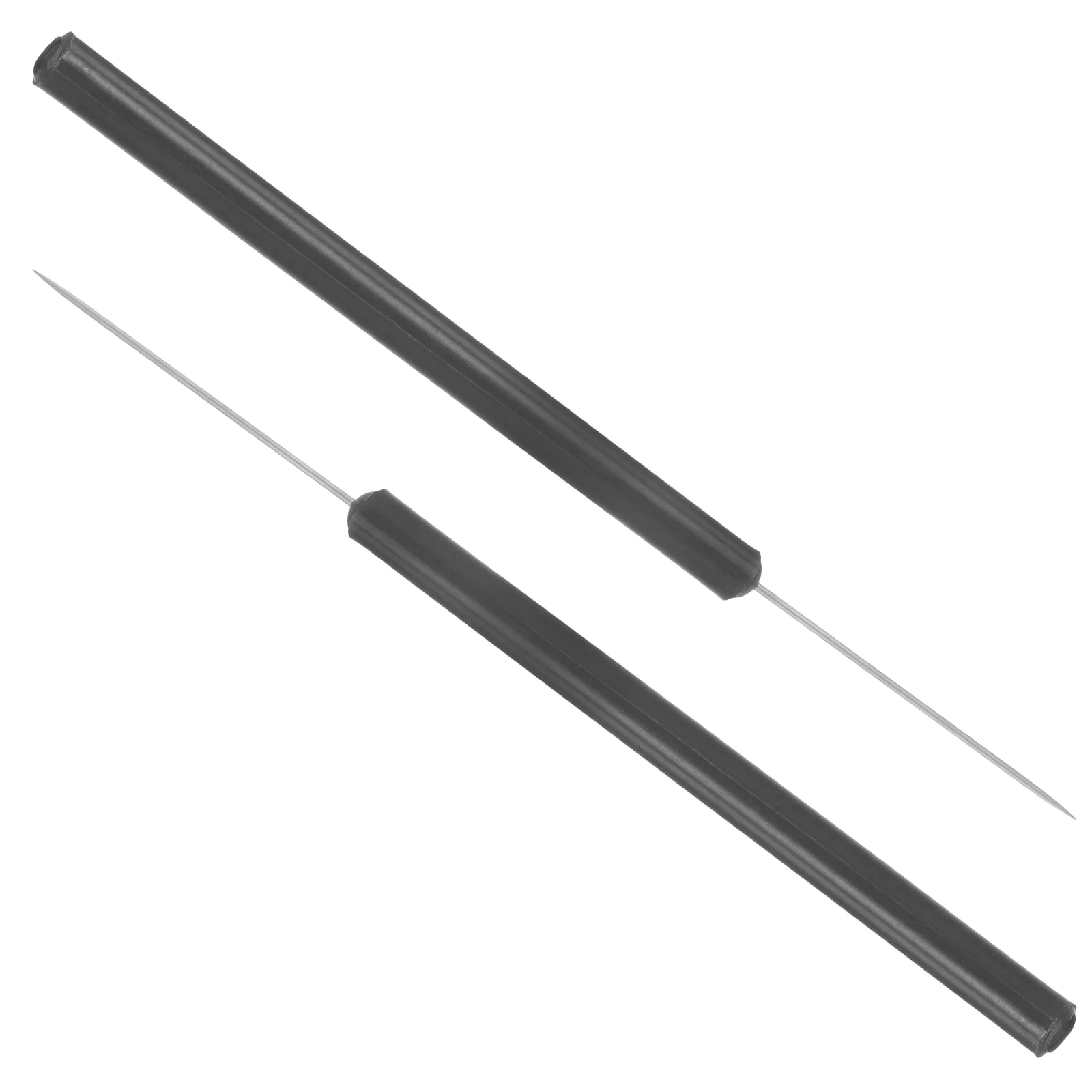 

2 Pcs Insect Dissecting Needle Butterflies Dissection Tool School Entomology Anatomy Specimen