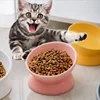 Elevated Cat Bowls Small Dog 15° Tilted Raised Food Feeding Dish Ceramics Stand Feeder for Cats and Puppy 6 Colors 2