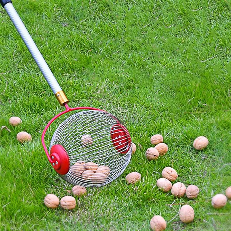 Nut Gatherer Fruit Collector With Telescoping Pole Walnut Chestnut Pecans Picking Up Tennis Pickleball Rolling Storage Basket