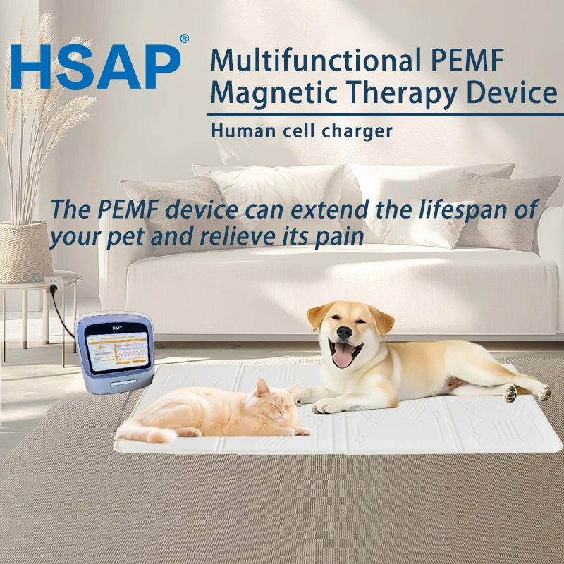 Portable home type Sleep therapy apparatus human body pain relief machine multi-functional PEMF magnetic therapy device
