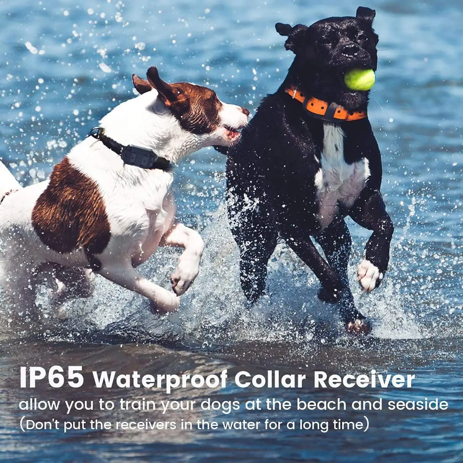 Waterproof Electric Dog Training Collar